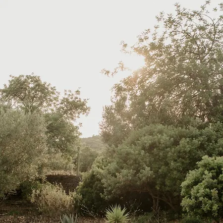 Oda ve Kahvaltı Casa Brava - Algarve 4*